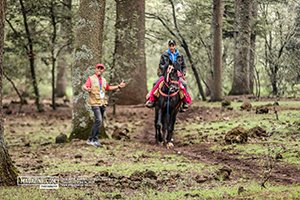 Trail Des Cèdres 2023 (Edition 14)